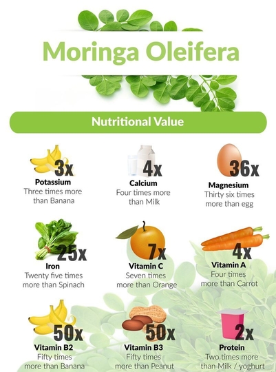 Moringa nutrition comparison